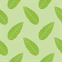 Green leaf print Pattern or Background Design vector