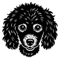 A black and white illustration of a poodle dog vector