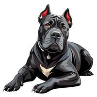 A black pit bull dog is sitting down vector