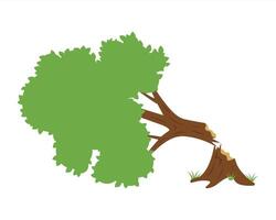 broken tree fell from strong wind. vector