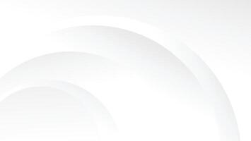 abstract white background with dynamic curve lines vector