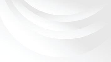 abstract white background with curve lines decoration vector