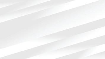 abstract white graphic line background vector