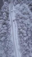 This aerial perspective captures a snow-covered forest alongside a winding road, showcasing the serene beauty of winter. Trees are blanketed in white, creating a tranquil landscape. Vertical footage video