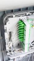 Fiber optic cables connecting to the distribution frame in data center photo