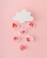 Creative spring and summer layout made of cloud shape paper card note and orchid flowers on pastel pink background. Minimal flower concept. Trendy weather idea. Nature flat lay. Top view banner. photo