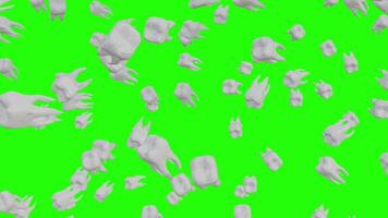 Teeth sprinkled on a green screen background 3d rendering video