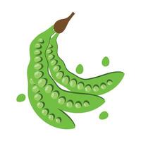 parkia speciosa aka petai or stinky bean logo vector