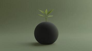 small green plant grows on top of dark sphere, symbolizing life and growth photo