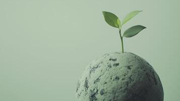small green plant grows on top of textured sphere, symbolizing hope and renewal photo