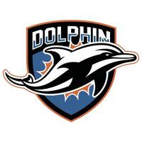 The dolphins logo is shown in this image vector