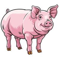 Farm Pig Standing on White Background. vector