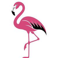 Modern Flamingo Design in Solid Pink. vector