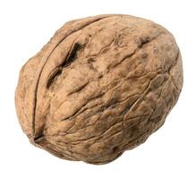 Whole walnut with textured shell close-up photo