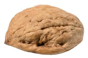 Half of walnut, empty shell on isolated background. close up photo