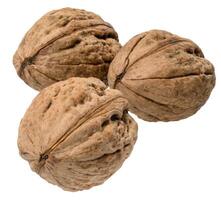 Whole walnut with textured shell, close-up photo