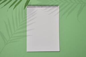 Open notebook with white blank sheets on green background, top view photo