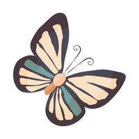A butterfly with a blue stripe on its wings. The butterfly is in the middle of the image and is the main focus vector