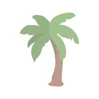 A palm tree with green leaves and a brown trunk. The tree is tall and has a lot of leaves vector