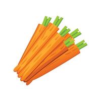 Creative Boiled Carrot Sticks vector