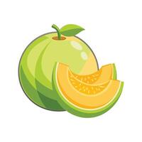 Delicious Honeydew Melon Puree Recipe vector