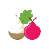 Creamy Mashed Radish Pear for Every Meal vector