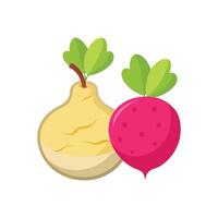 Savory Mashed Radish Pear for Nutritious Meals vector