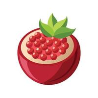 Nutritious Pomegranate Puree Recipe vector