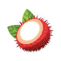 Flavorful Rambutan Mash for Smoothies vector
