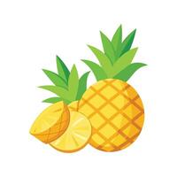 Delicious Soft Pineapple Pieces for Treats vector