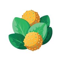 Delicious Quinoa Spinach Bites Recipe vector