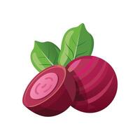 Nutritious Soft Steamed Beet Slices for Meals vector