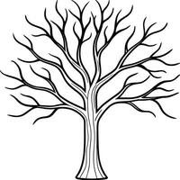 Leafless Tree Outline - Elegant Bare Branches Illustration vector