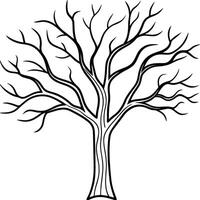 Bare Tree Outline - Elegant Leafless Branches Illustration vector