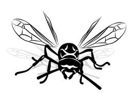 Sketch of wasp. vector