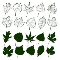Set of tree leaves. vector