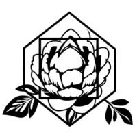 Geometric Floral Illustration Black and White Peony with Leaves Inside a Hexagon and Square Frame vector