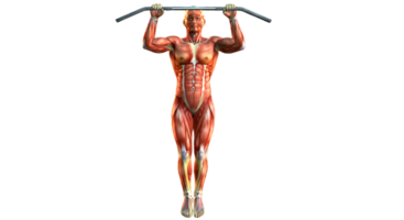 A man is doing pull ups on a bar png