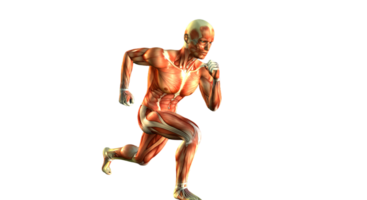 An image of a man running with muscles on png