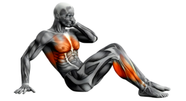 A man with muscles on his back png