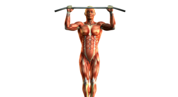 A man is doing pull ups on a bar png