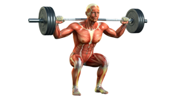 A man is squatting with a barbell png
