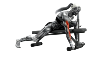 A man is doing a leg exercise on a bench png