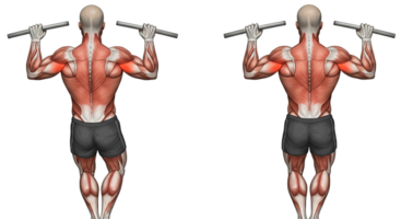 Two men are doing a pull - up with their arms up png