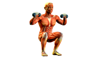 A man is doing squats with a dumbbell png