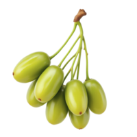A bunch of green grapes on a black background png
