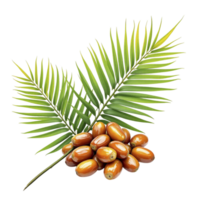 A bunch of dates and a palm leaf png
