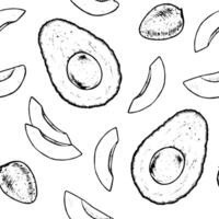 Seamless hand drawn avocado pattern in black and white, perfect for textiles, wrapping paper, and kitchen decor. Vintage style illustration with detailed line art. With an isolated backgrounds vector