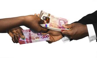 Two black african people hands holding exchanging stacks Ghanaian cedi british pounds currrency notes on white background. pairing, Weighing and comparing two country monies. Exchange rate concept photo