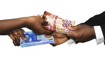 Two black african people hands holding exchanging stacks Ghanaian cedi Nigerian naira currrency notes on white background. pairing, Weighing and comparing two country monies. Exchange rate concept photo